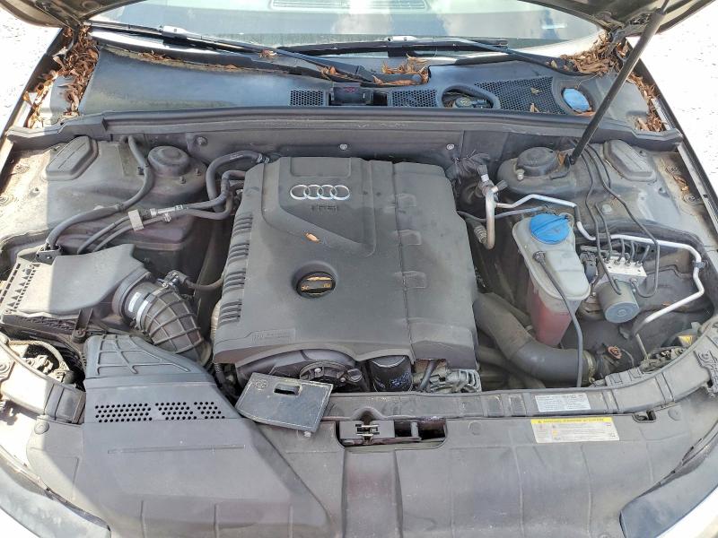 2013 Audi A4 მანქანა იყიდება აუქციონზე, vin: WAUDFAFL7DN028097, აუქციონის ნომერი: 68023606