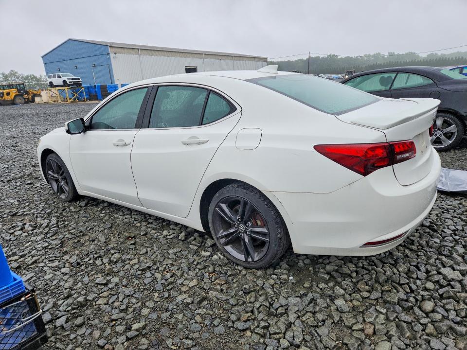 Продажа на аукционе авто 2015 Acura Tlx, vin: 19UUB2F58FA022956, номер лота: 67289866