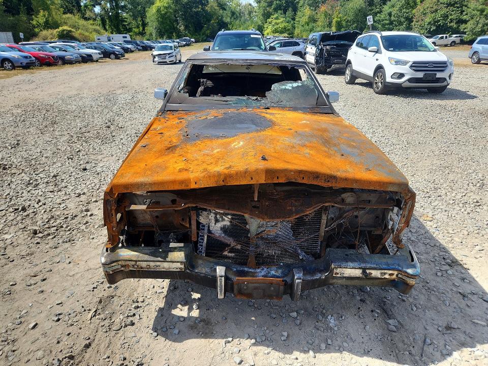 68597196 :رقم المزاد ، 1G6AL5797BE618437 vin ، 1981 Cadillac Eldorado مزاد بيع