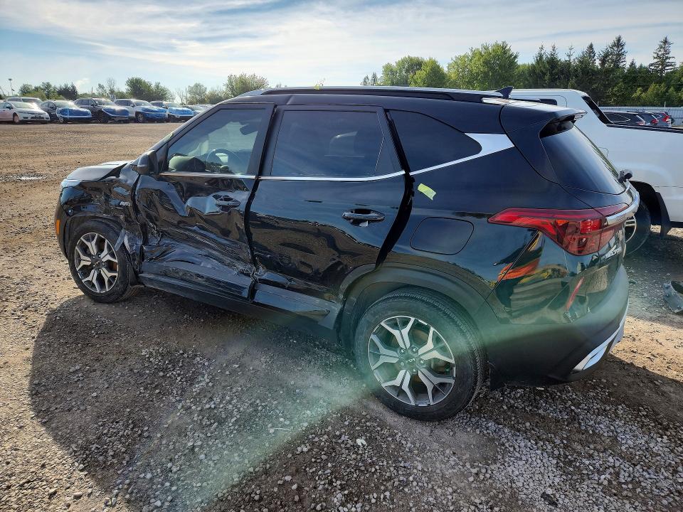 Auction sale of the 2023 Kia Seltos, vin: KNDERCAA5P7434436, lot number: 67783636