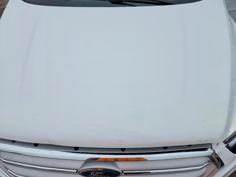 Auction sale of the 2019 Ford Escape, vin: 1FMCU0GD8KUB65487, lot number: 69365376