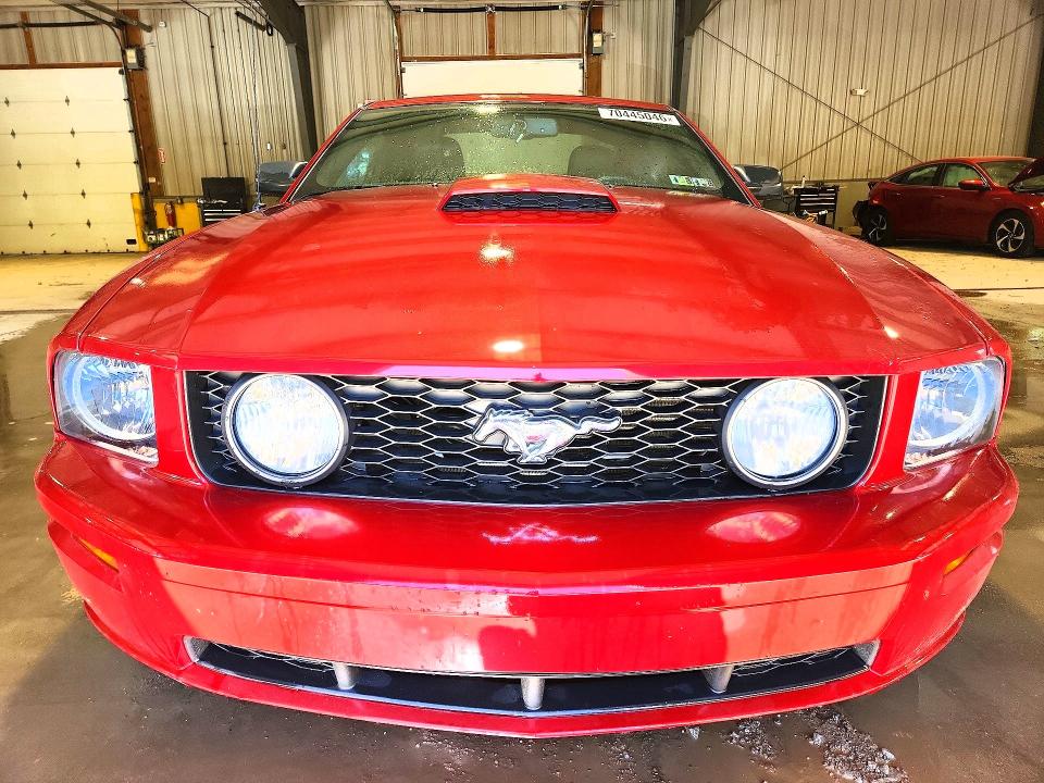 Продажа на аукционе авто 2007 Ford Mustang, vin: 1ZVHT82H675297183, номер лота: 70445046