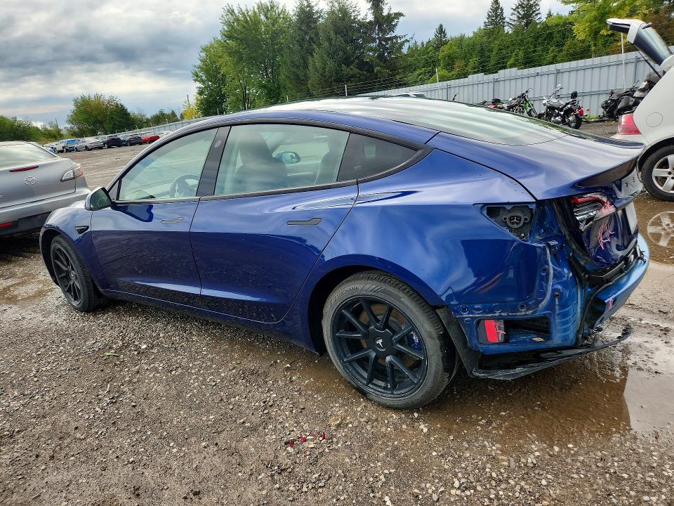 2022 Tesla Model 3 მანქანა იყიდება აუქციონზე, vin: 5YJ3E1EA7NF356394, აუქციონის ნომერი: 66003486
