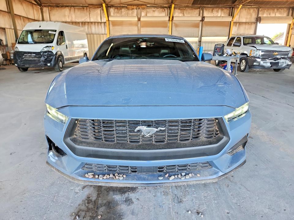 Продаж на аукціоні авто 2024 Ford Mustang, vin: 1FA6P8TH4R5100890, номер лоту: 67493636