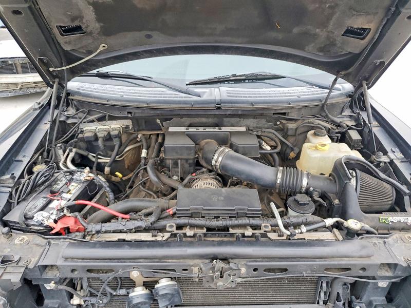 69866276 :رقم المزاد ، 1FTFW1R64DFC41990 vin ، 2013 Ford F150 مزاد بيع