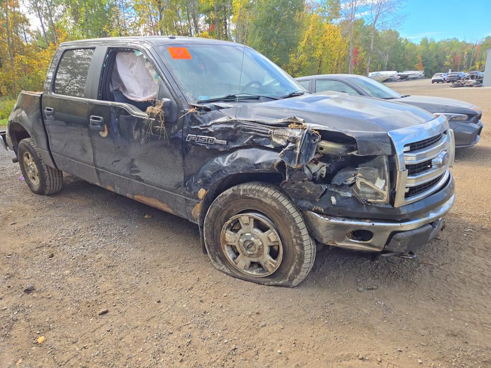 Продажа на аукционе авто 2014 Ford F150, vin: 1FTFW1EF4EKF97502, номер лота: 70501056