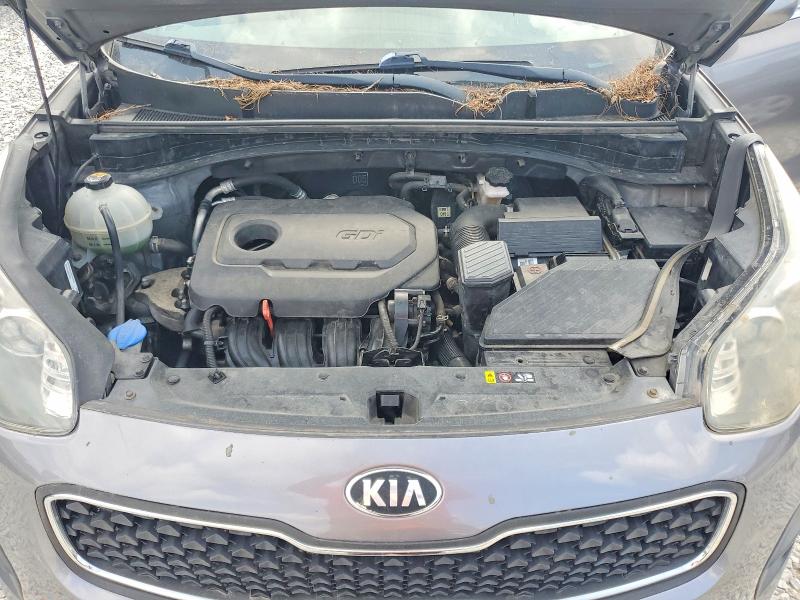 Продаж на аукціоні авто 2019 Kia Sportage, vin: KNDPM3AC2K7494837, номер лоту: 69117246