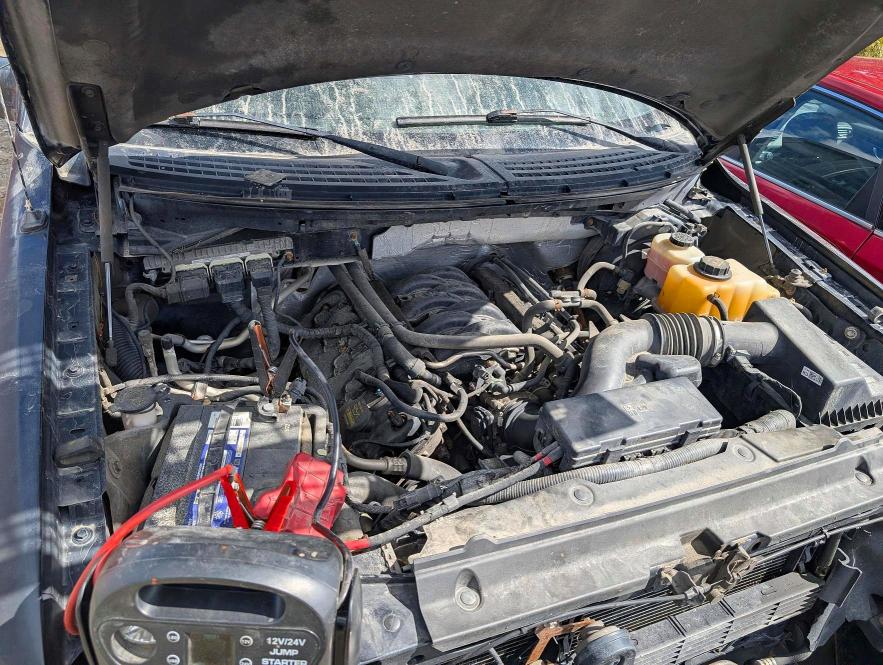 67970766 :رقم المزاد ، 1FTFW1EF3DFD20315 vin ، 2013 Ford F150 مزاد بيع