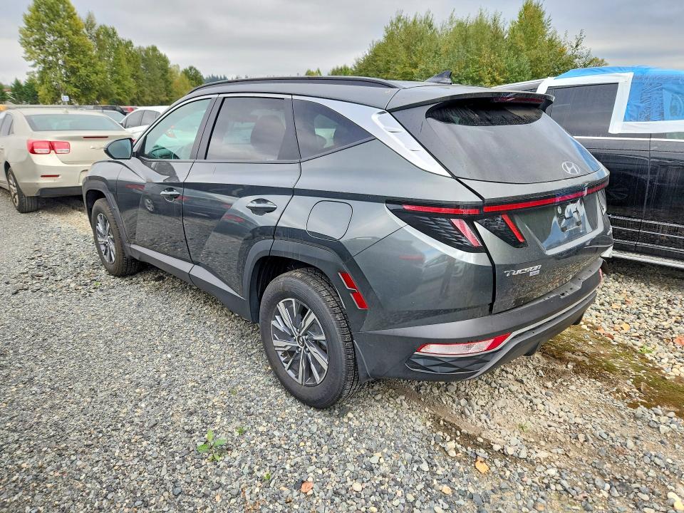 Продажа на аукционе авто 2023 Hyundai Tucson, vin: KM8JBCA13PU111664, номер лота: 69695646