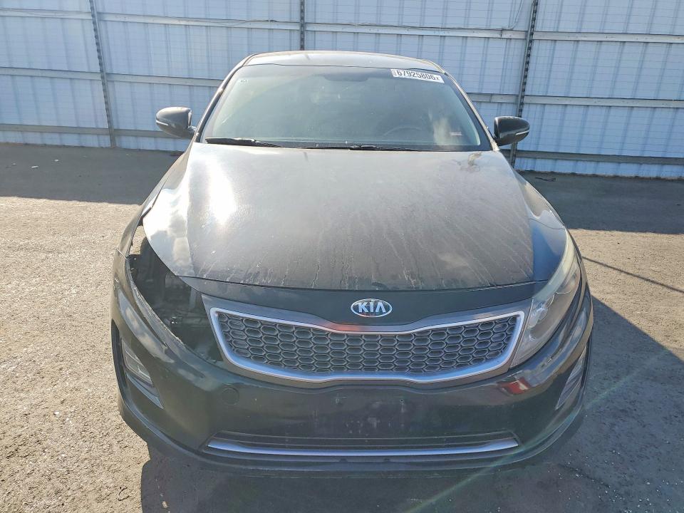 Auction sale of the 2016 Kia Optima, vin: KNAGN4AD2G5098659, lot number: 67925806