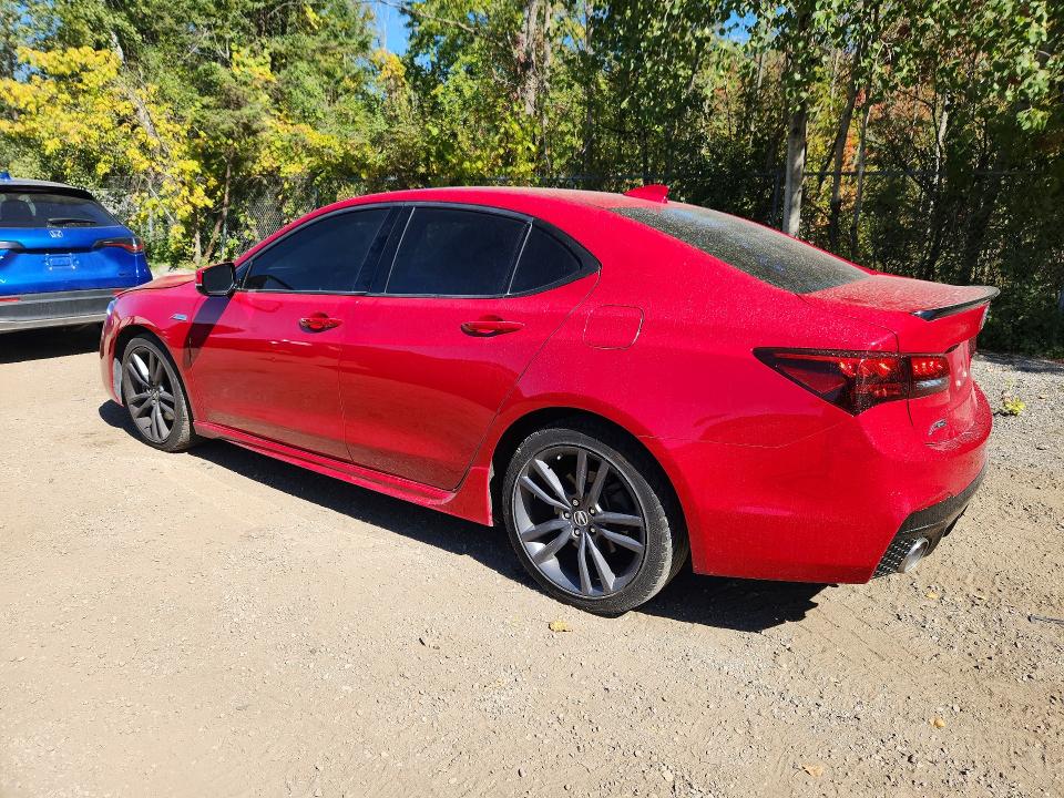 2019 Acura Tlx მანქანა იყიდება აუქციონზე, vin: 19UUB1F60KA800115, აუქციონის ნომერი: 69787596