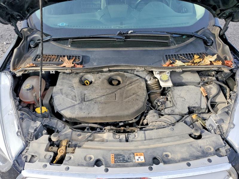 Auction sale of the 2019 Ford Escape, vin: 1FMCU9J96KUA43204, lot number: 69228846