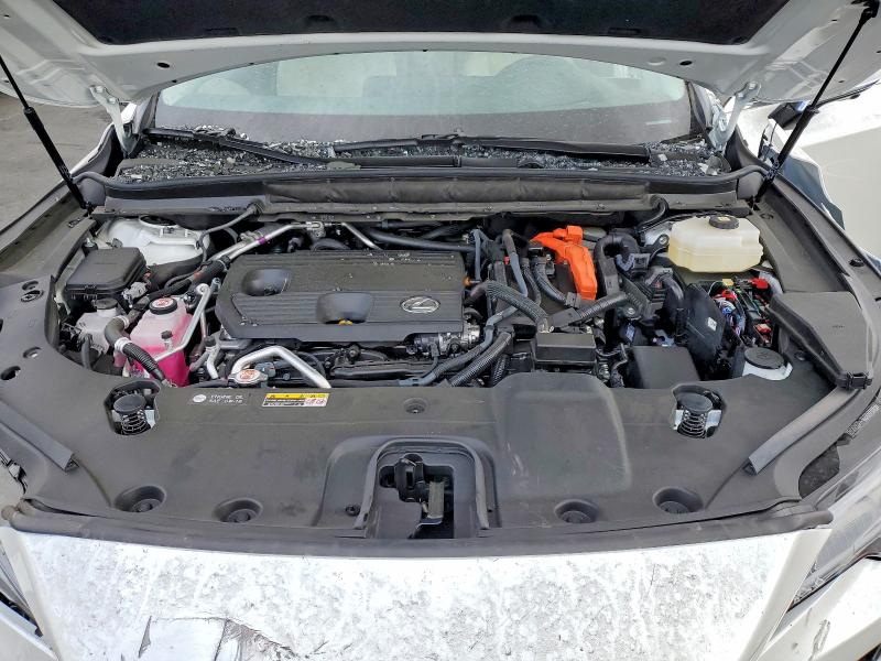 Продаж на аукціоні авто 2025 Lexus Rx, vin: JTJCJMGA1S2024540, номер лоту: 67632636