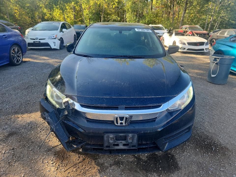 67380196 :رقم المزاد ، 2HGFC2F55HH018843 vin ، 2017 Honda Civic مزاد بيع