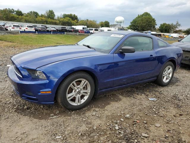 Продаж на аукціоні авто 2013 Ford Mustang, vin: 1ZVBP8AM0D5275880, номер лоту: 73422294