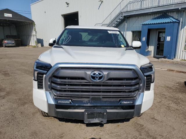 74542504 :رقم المزاد ، 5TFJC5EC6PX003594 vin ، 2023 Toyota Tundra Cre مزاد بيع
