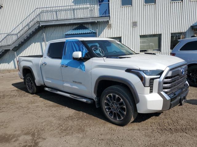 74542504 :رقم المزاد ، 5TFJC5EC6PX003594 vin ، 2023 Toyota Tundra Cre مزاد بيع