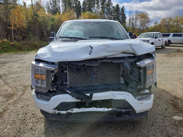 Aukcja sprzedaży 2023 Ford F150, vin: 1FTFW1E54PFB73532, numer aukcji: 71420775