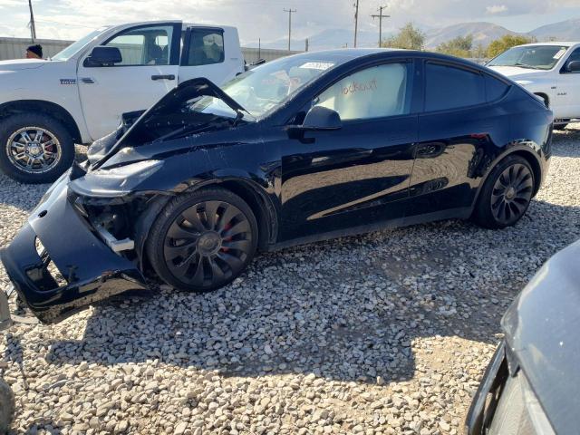 Продажа на аукционе авто 2024 Tesla Model Y, vin: 7SAYGDEF6RF048557, номер лота: 81765075