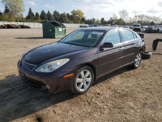 Продажа на аукционе авто 2005 Lexus Es, vin: JTHBA30G255110321, номер лота: 86505895