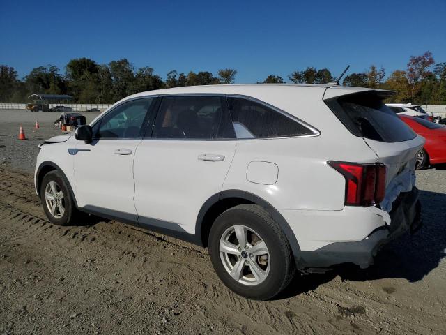 Продаж на аукціоні авто 2023 Kia Sorento, vin: 5XYRG4LC0PG248897, номер лоту: 87239045