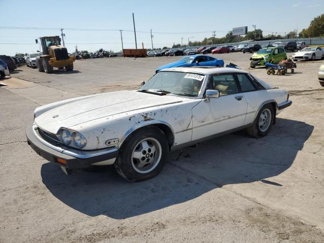 Продаж на аукціоні авто 1982 Jaguar Xjs, vin: SAJNV5849CC105507, номер лоту: 94230415