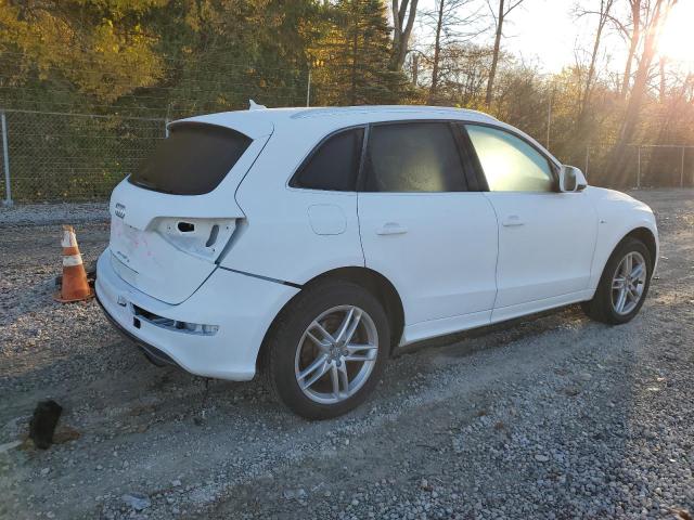 Продажа на аукционе авто 2013 Audi Q5, vin: WA1DGAFP8DA047598, номер лота: 90216365