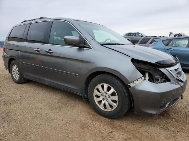 Продаж на аукціоні авто 2009 Honda Odyssey, vin: 5FNRL38679B503712, номер лоту: 84226605