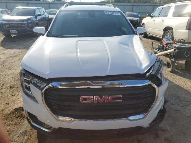 86155205 :رقم المزاد ، 3GKALTEG7RL319130 vin ، 2024 Gmc Terrain مزاد بيع