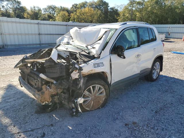 82380725 :رقم المزاد ، WVGBV75N19W542186 vin ، 2009 Volkswagen Tiguan Se Automatic مزاد بيع