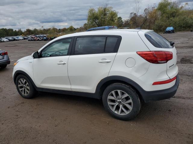Aukcja sprzedaży 2014 Kia Sportage Lx, vin: KNDPBCAC7E7628574, numer aukcji: 87384115
