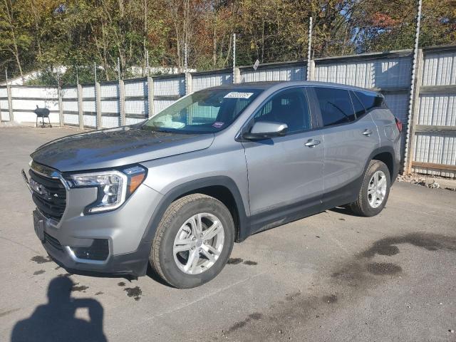Auction sale of the 2024 Gmc Terrain Sl, vin: 3GKALTEG0RL376883, lot number: 89888005