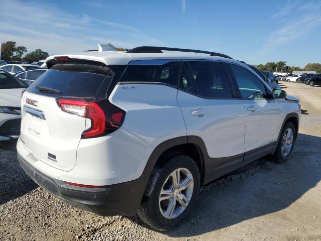 86155205 :رقم المزاد ، 3GKALTEG7RL319130 vin ، 2024 Gmc Terrain مزاد بيع