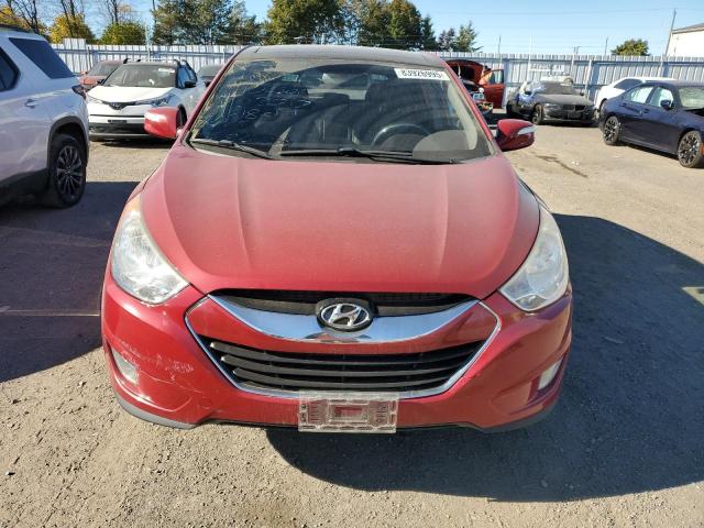 Продажа на аукционе авто 2010 Hyundai Tucson, vin: KM8JUCAC5AU023217, номер лота: 83926995