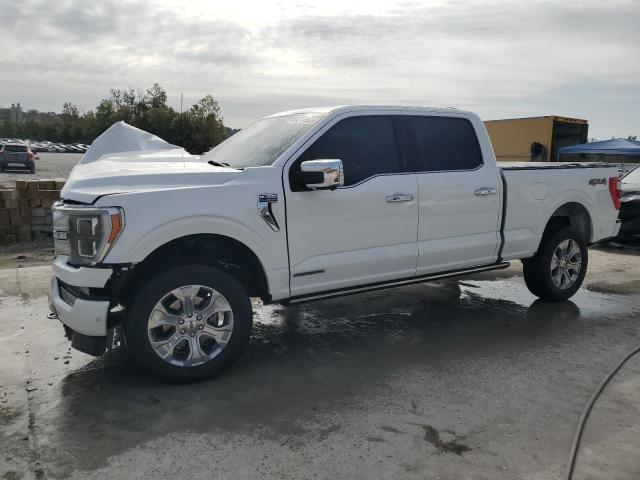 Продажа на аукционе авто 2023 Ford F150, vin: 1FTFW1ED4PFB01737, номер лота: 86517565