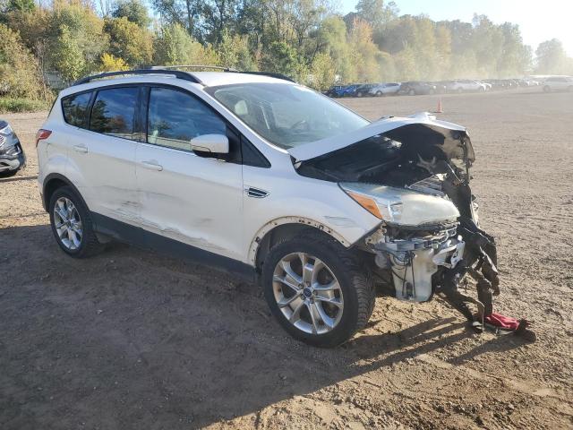 2013 Ford Escape მანქანა იყიდება აუქციონზე, vin: 1FMCU0H94DUD28553, აუქციონის ნომერი: 86160875