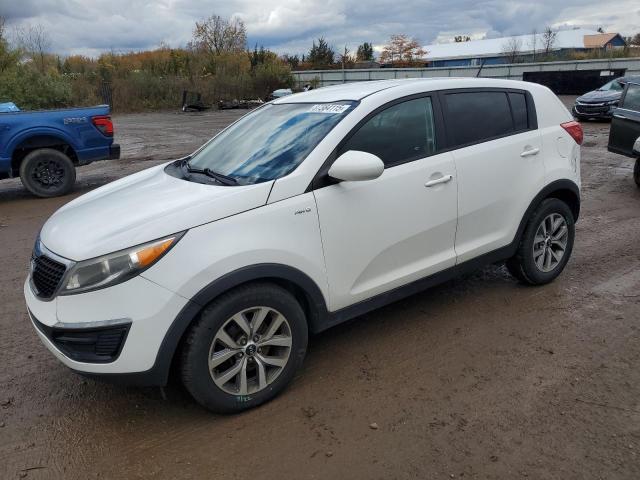 Aukcja sprzedaży 2014 Kia Sportage Lx, vin: KNDPBCAC7E7628574, numer aukcji: 87384115