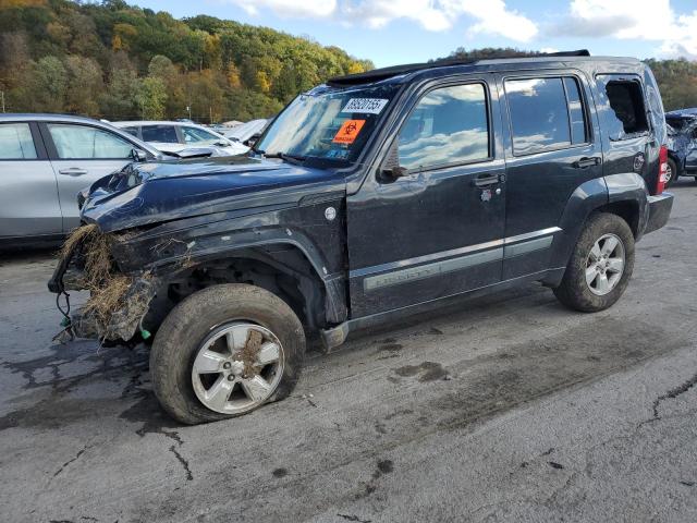 Продажа на аукционе авто 2010 Jeep Liberty, vin: 1J4PN2GK3AW111945, номер лота: 89520155
