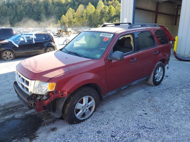 2009 Ford Escape მანქანა იყიდება აუქციონზე, vin: 1FMCU93G39KC60131, აუქციონის ნომერი: 86503505