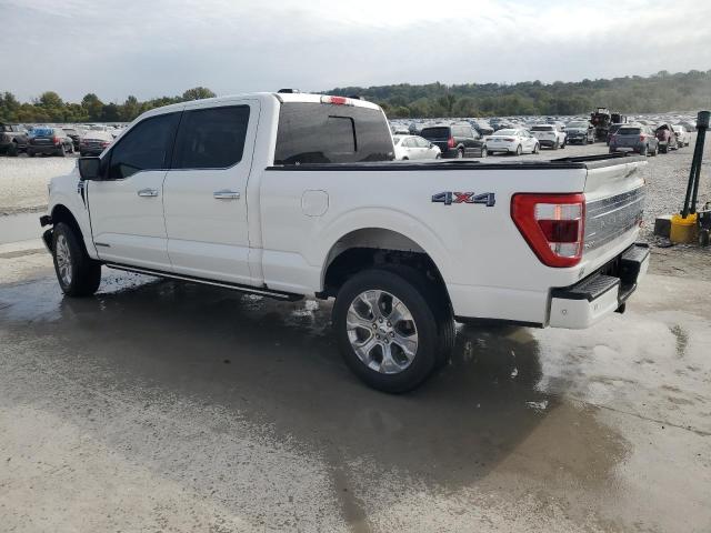 Продажа на аукционе авто 2023 Ford F150, vin: 1FTFW1ED4PFB01737, номер лота: 86517565