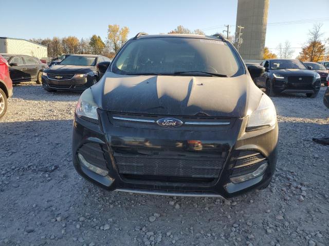 Aukcja sprzedaży 2016 Ford Escape Se, vin: 1FMCU0GX3GUB81338, numer aukcji: 90316875