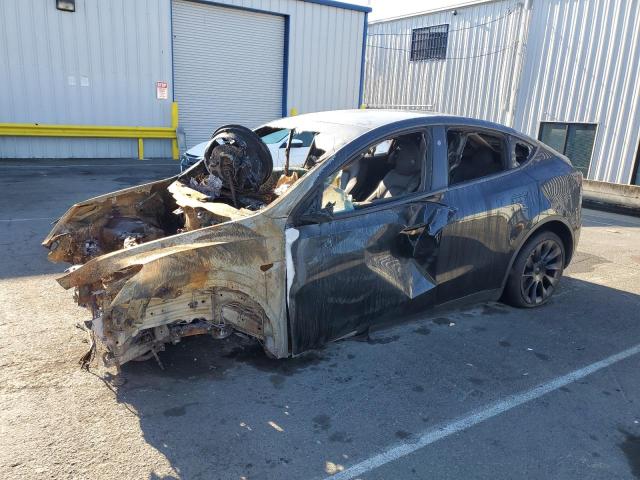 Aukcja sprzedaży 2024 Tesla Model Y, vin: 7SAYGDEE4RF080950, numer aukcji: 82577495
