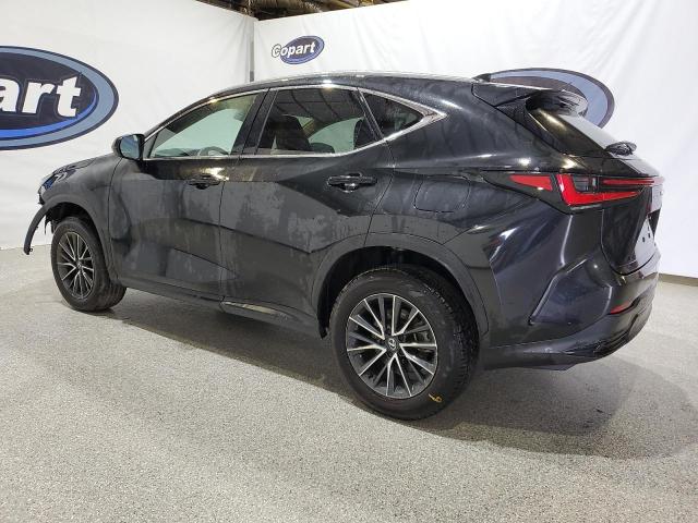 Aukcja sprzedaży 2024 Lexus Nx 350, vin: 2T2AGCEZ4RC057129, numer aukcji: 84787505