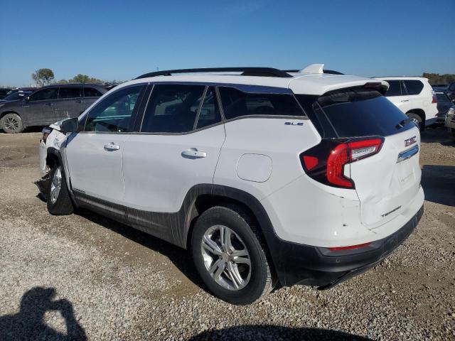 86155205 :رقم المزاد ، 3GKALTEG7RL319130 vin ، 2024 Gmc Terrain مزاد بيع