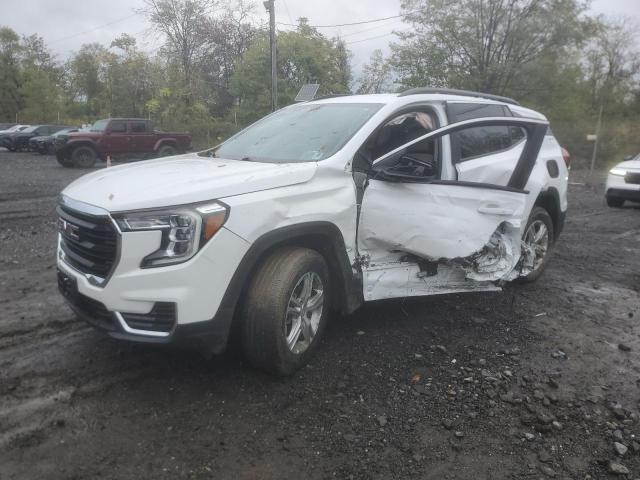 Auction sale of the 2023 Gmc Terrain, vin: 3GKALTEG8PL237968, lot number: 86238895