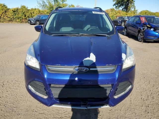 2016 Ford Escape მანქანა იყიდება აუქციონზე, vin: 1FMCU0G98GUC31037, აუქციონის ნომერი: 84421255