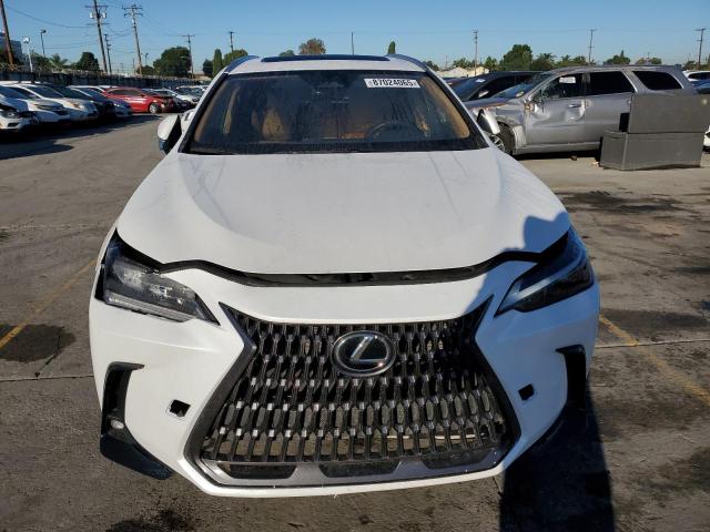 Продаж на аукціоні авто 2024 Lexus Nx 250 Base, vin: 2T2ADCAZ0RC007200, номер лоту: 87024065