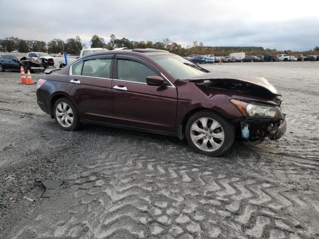 90583095 :رقم المزاد ، 5KBCP3F87AB009614 vin ، 2010 Honda Accord مزاد بيع