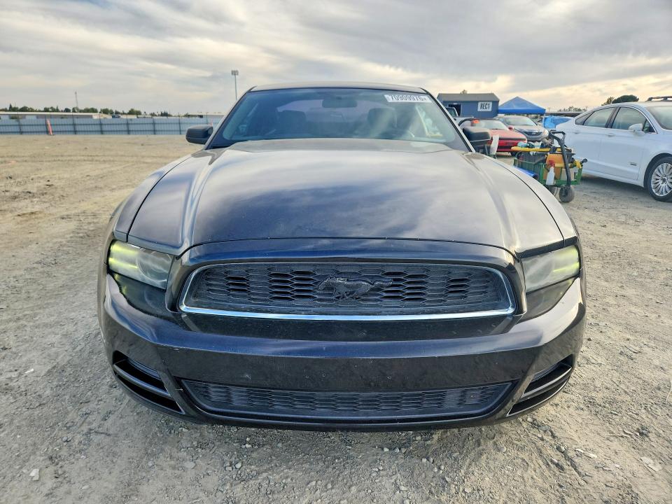 Продаж на аукціоні авто 2013 Ford Mustang, vin: 1ZVBP8AM7D5209519, номер лоту: 70909976