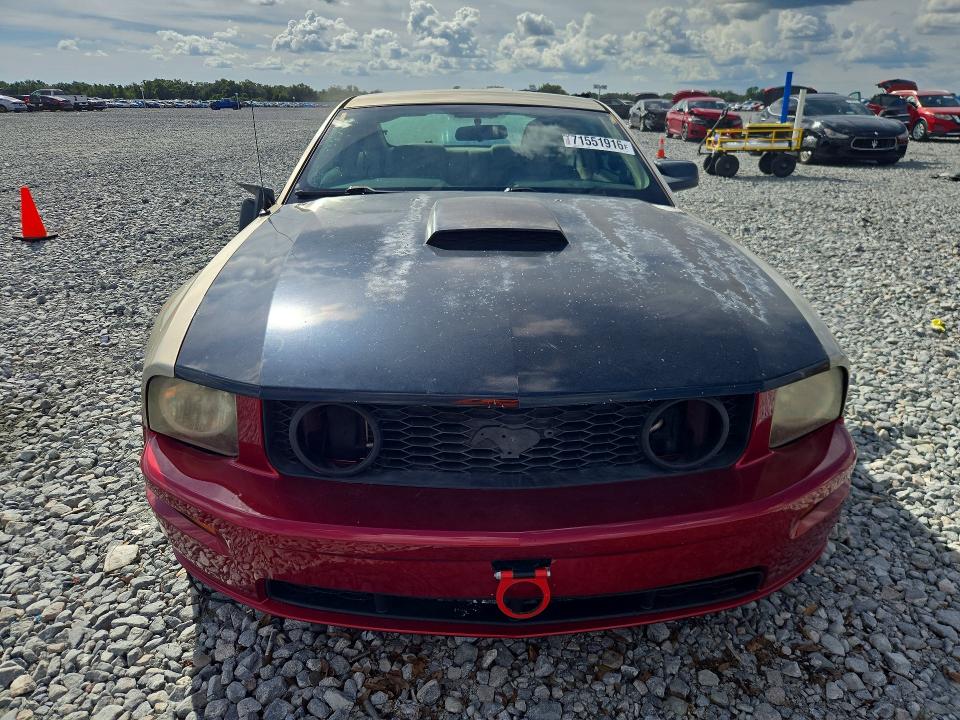 71551916 :رقم المزاد ، 1ZVFT82HX65173276 vin ، 2006 Ford Mustang مزاد بيع